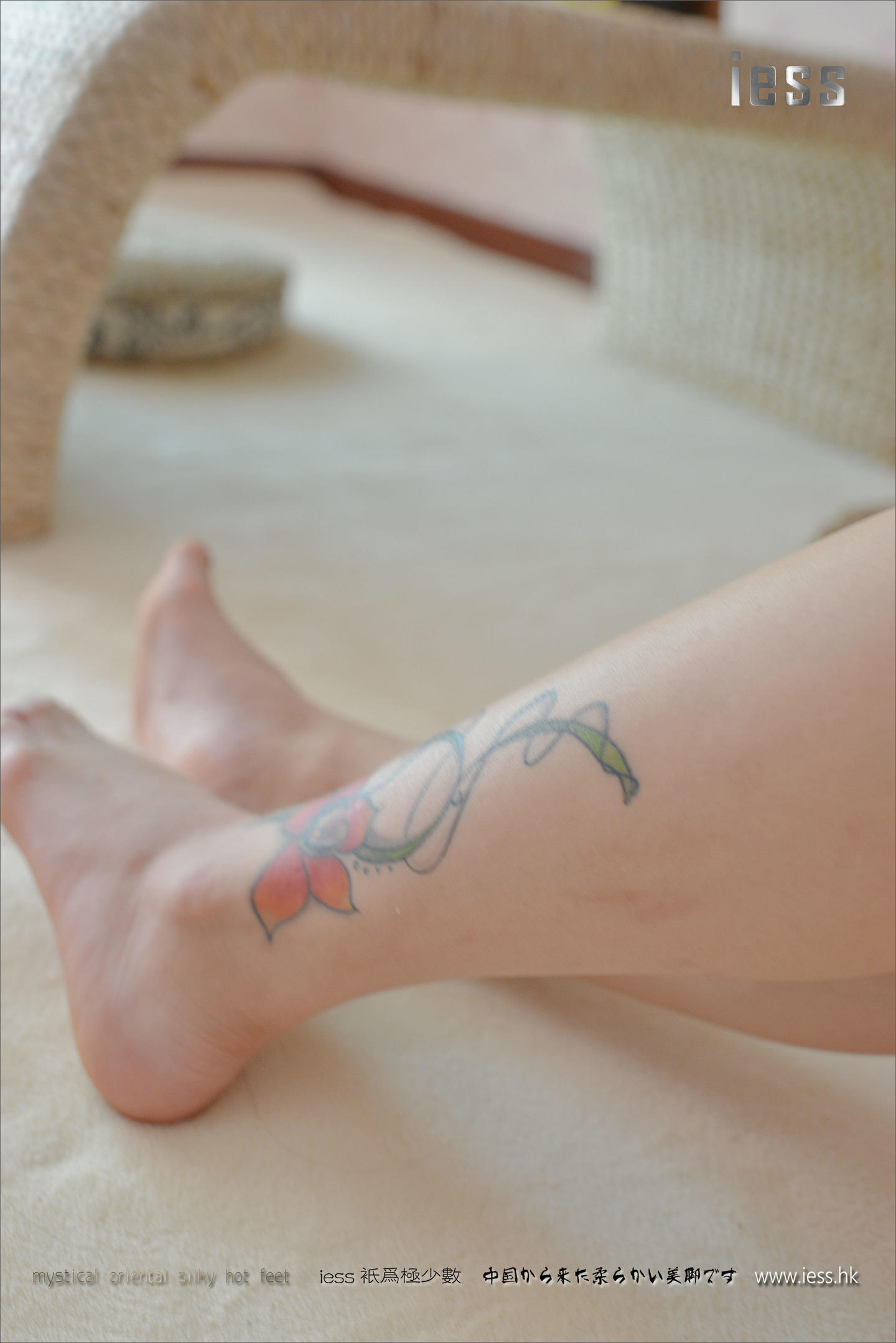 [IESS异思趣向] 2017.01.27 丝足便当066：《2016》优优