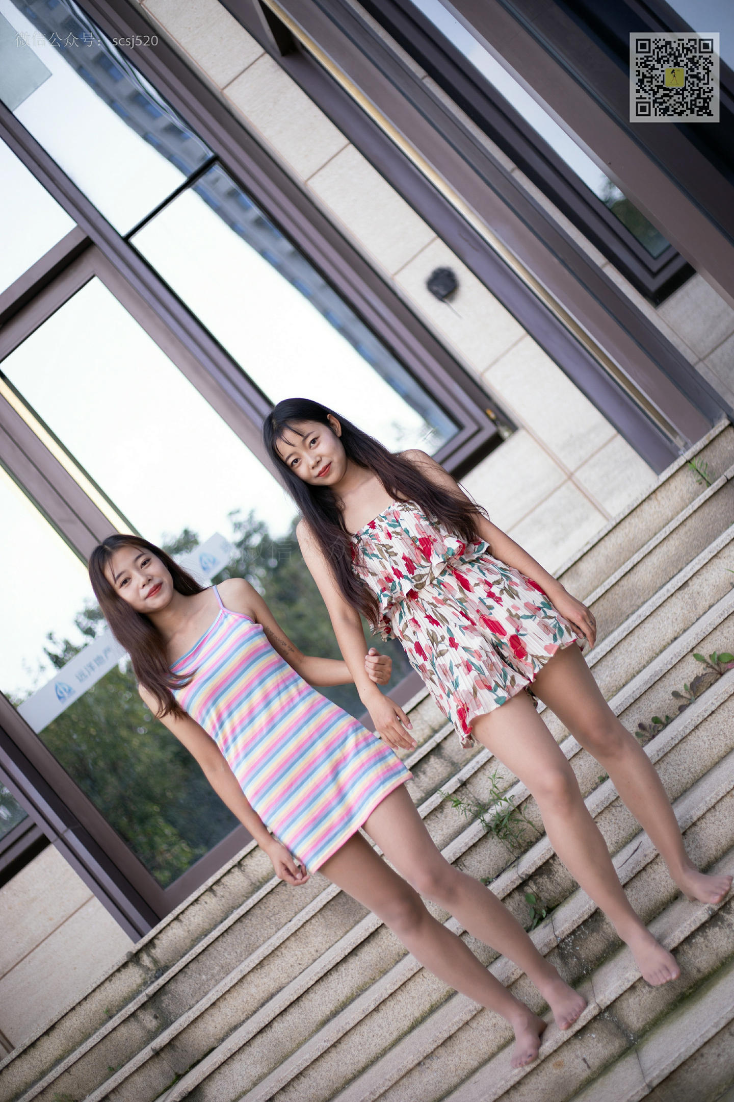 ISS山茶摄影 139 纷纷和芳芳