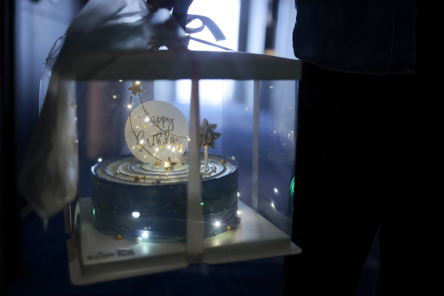 谢小蒽 NO.016 内购无水印 生日聚会 [115P]