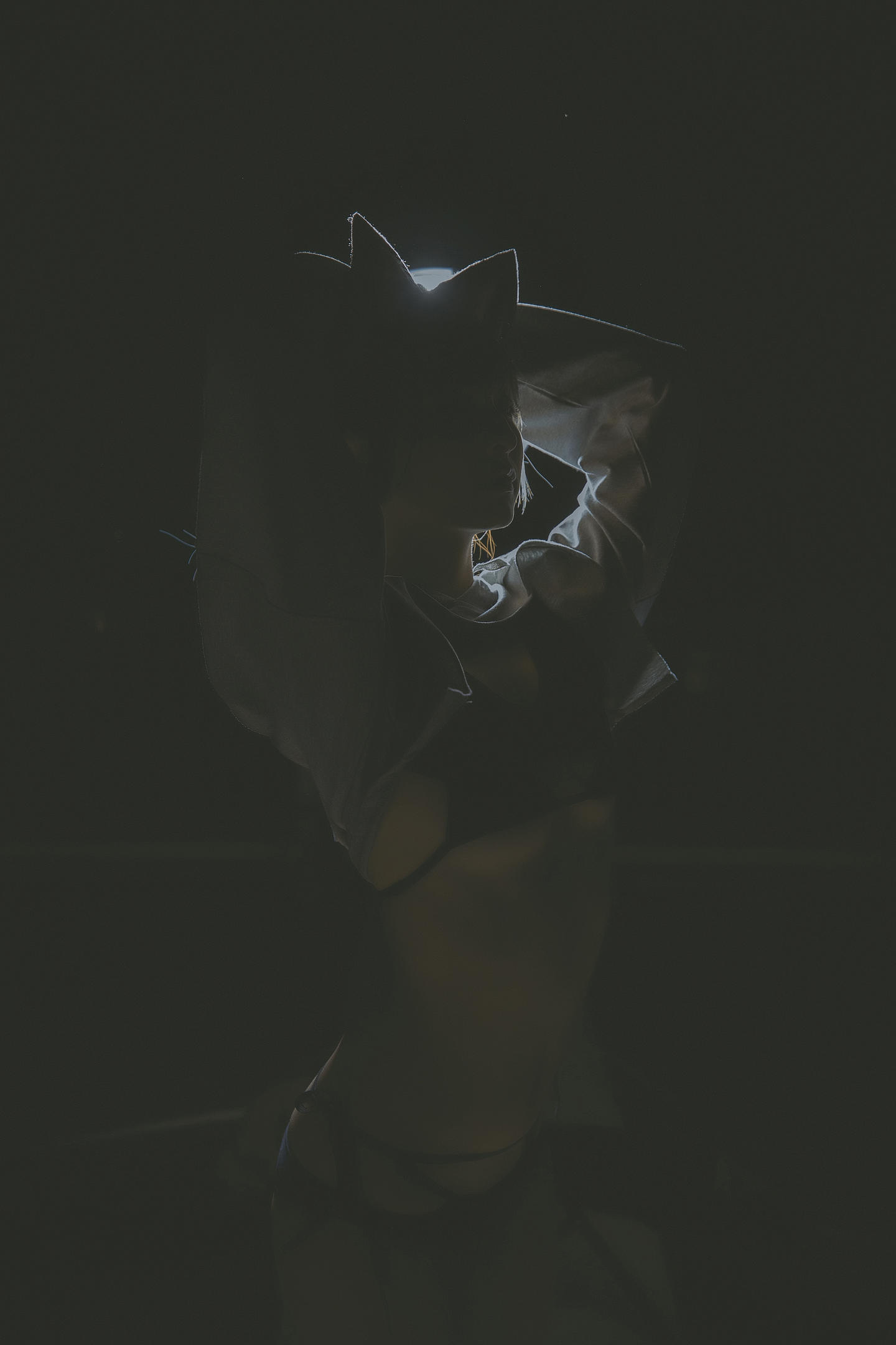 神楽坂真冬 NO.029 危険な耳 狼妹&兔娘 [150P4V]